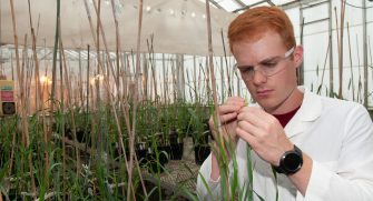 Man in Lab Coat and Safety Glasses Working With Plants in Greenhouse
