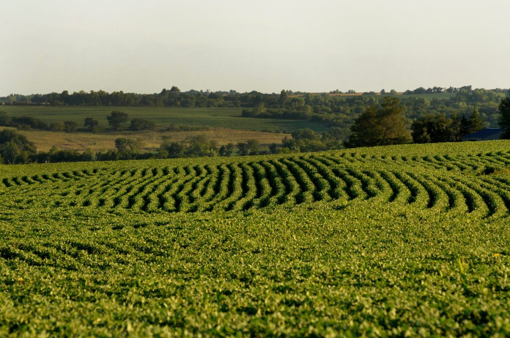 Expanse of farmland, fields, and trees below overcast skies